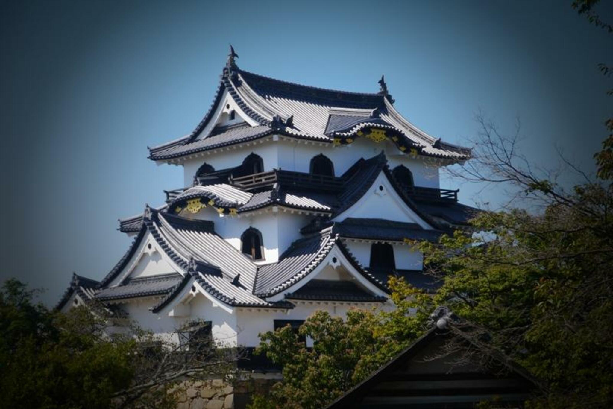 彦根城の代表写真5