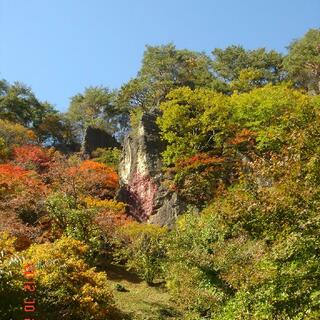 きみまち阪公園の写真29