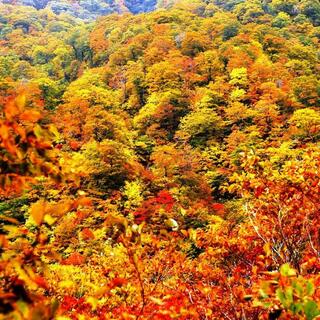 胆沢川渓谷の写真9