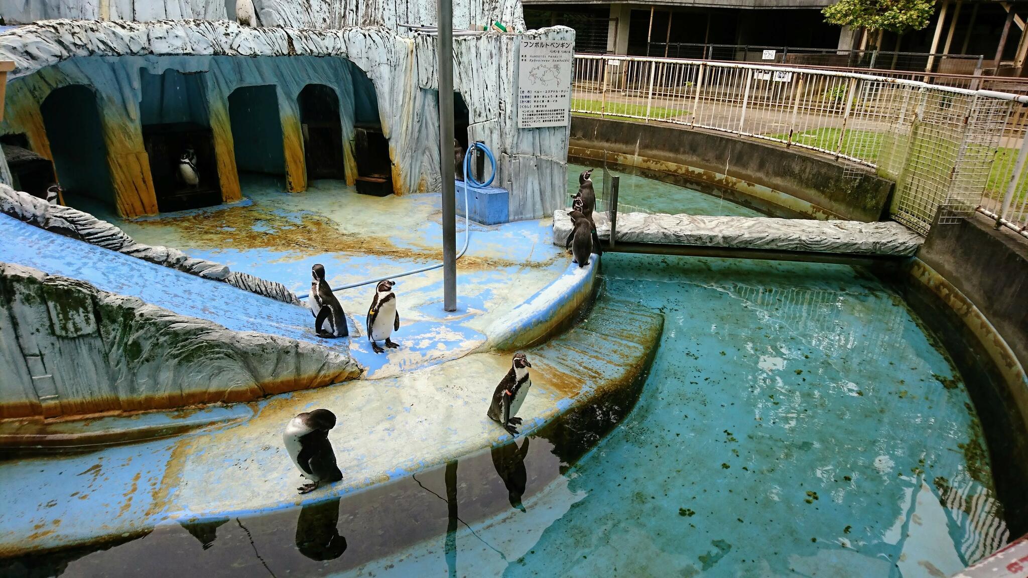 高岡古城公園動物園の代表写真7
