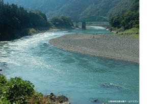 球磨川のクチコミ写真1