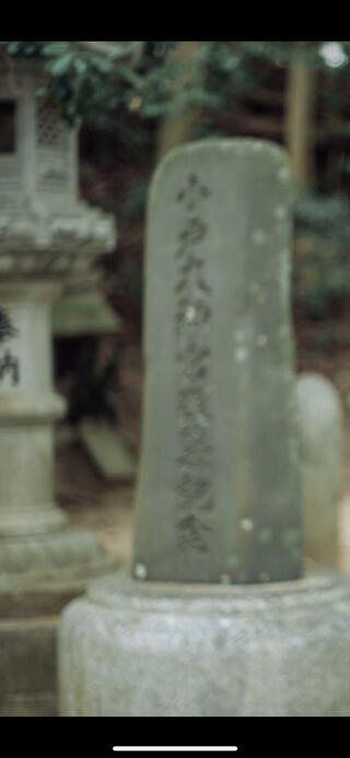 筑前國一之宮 住吉神社のクチコミ写真1