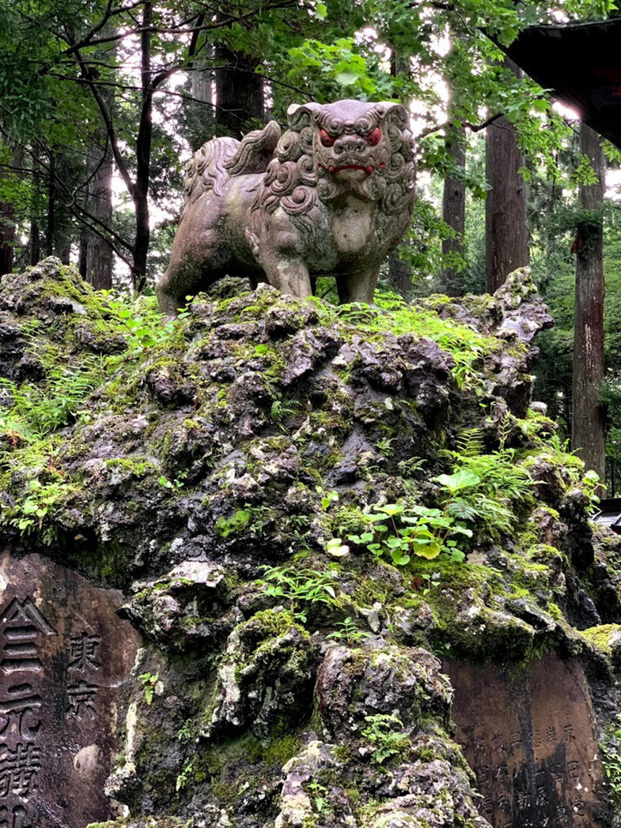 東口本宮冨士浅間神社の代表写真10