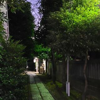 櫻田神社の写真2