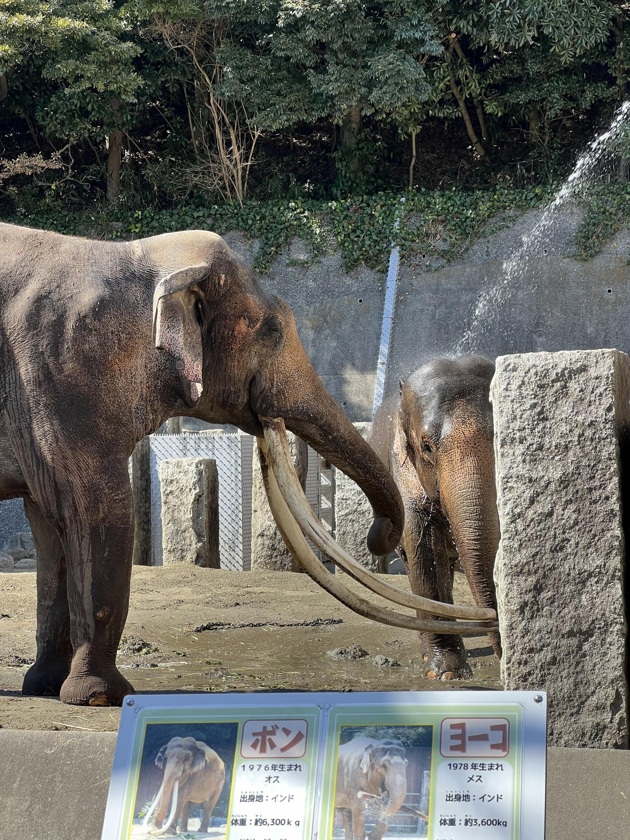 金沢動物園の代表写真4