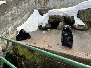 奥飛騨クマ牧場のクチコミ写真1