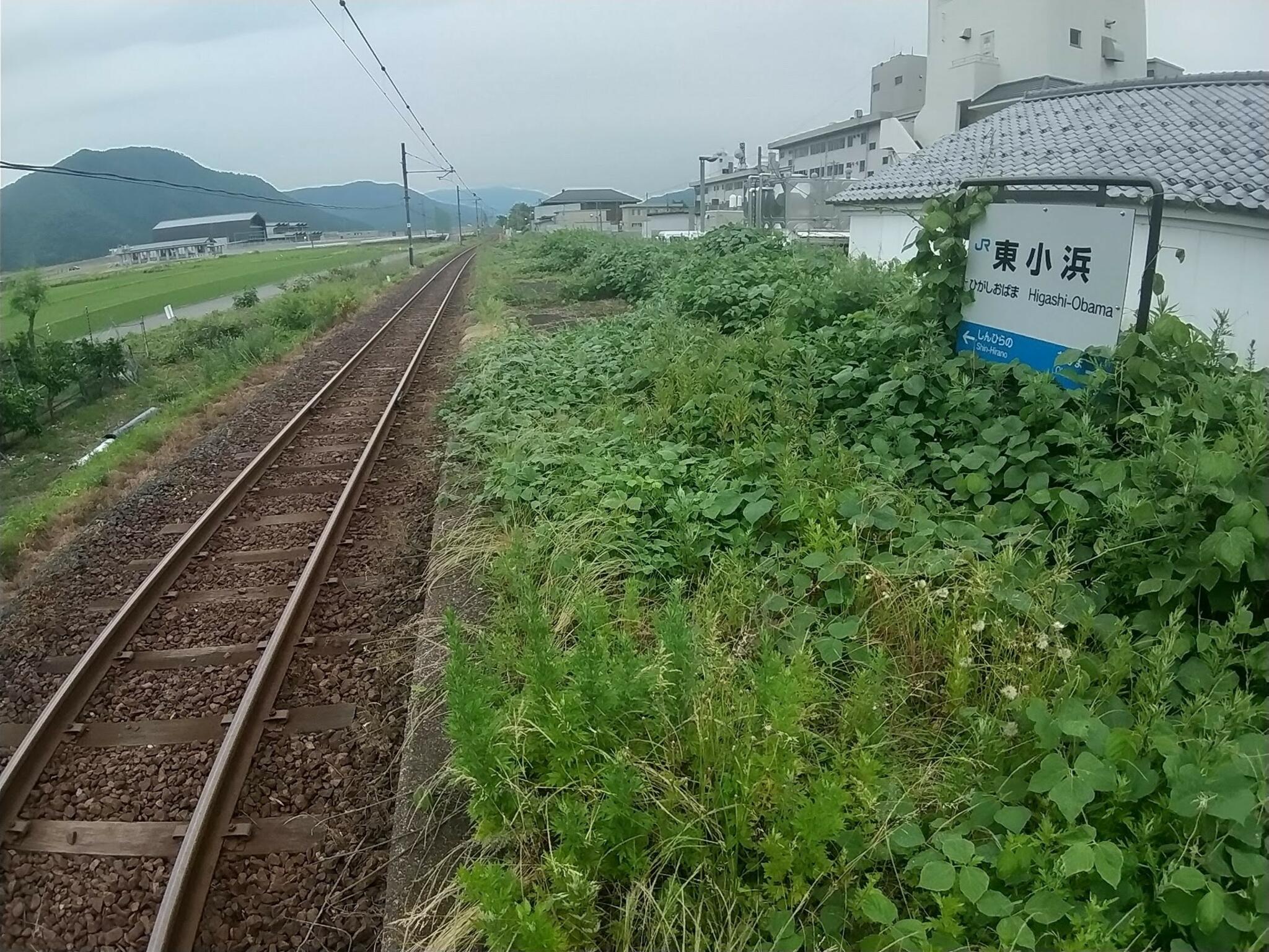 福井県立若狭歴史博物館の代表写真7