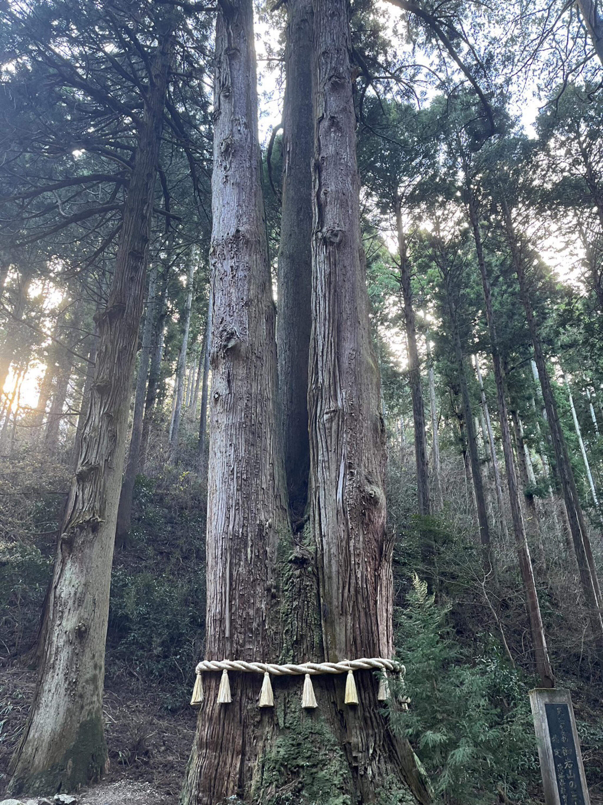 御岩神社の代表写真2