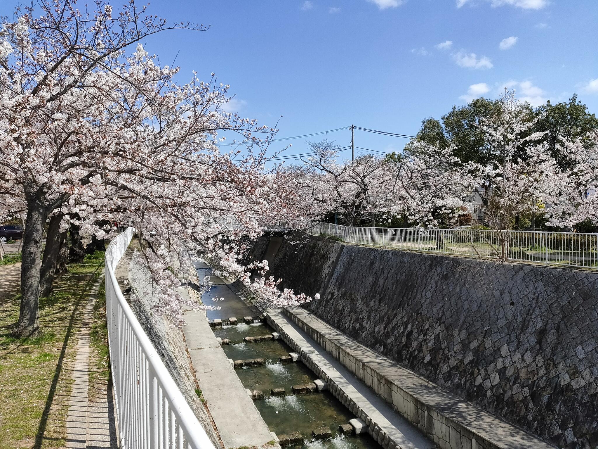 妙法寺川公園の代表写真5