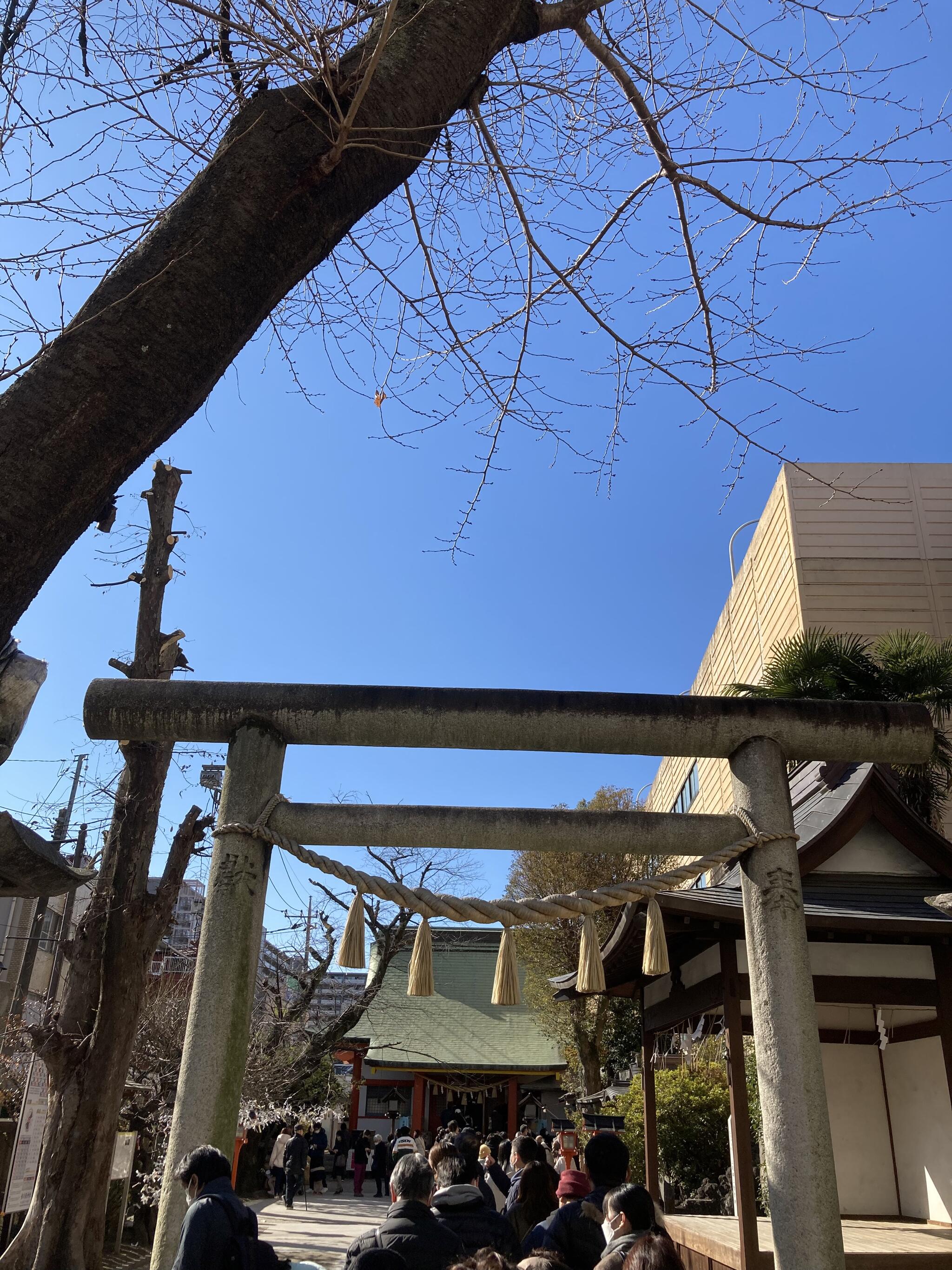 氷川鍬神社の代表写真6