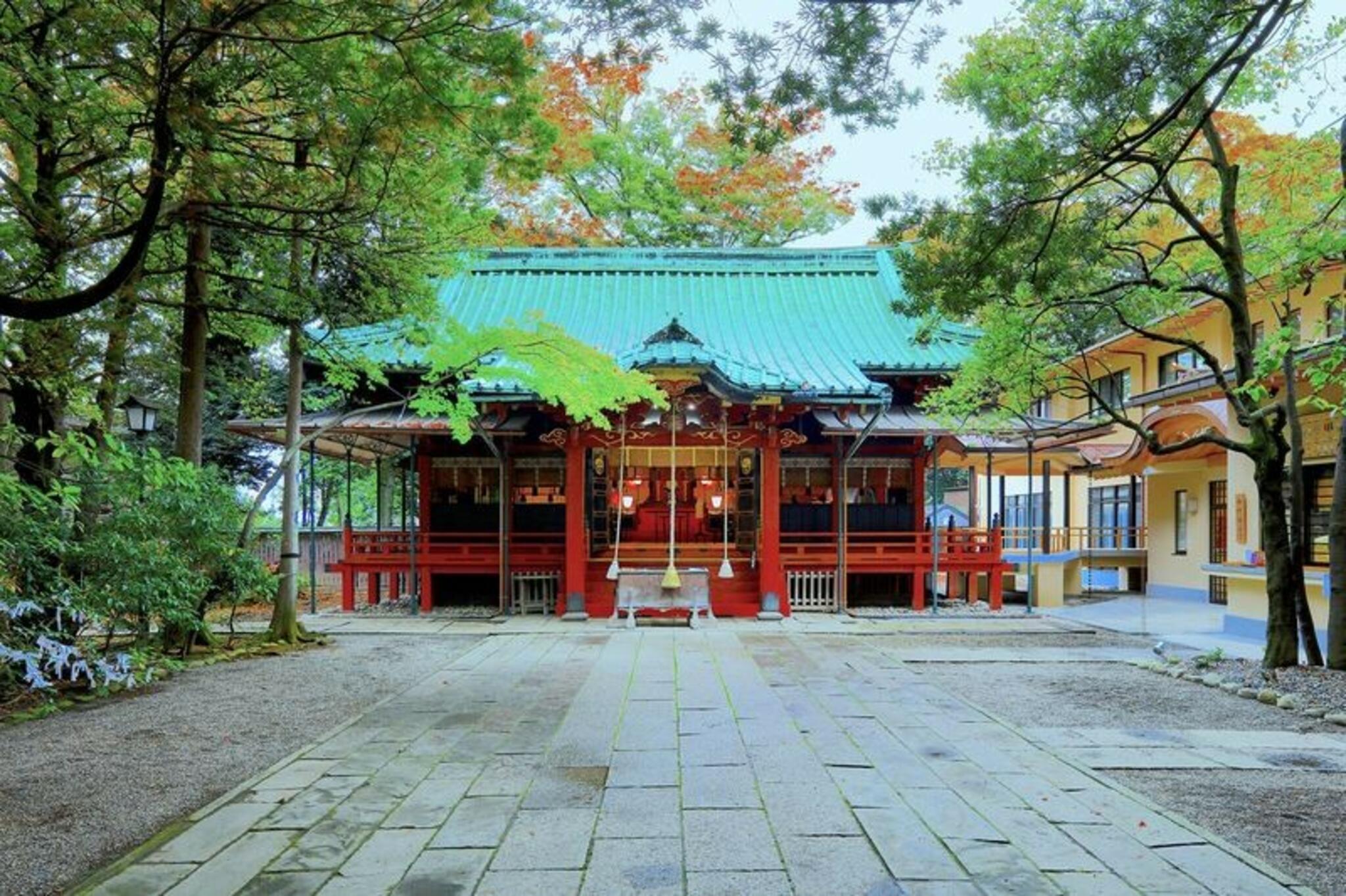 赤坂氷川神社の代表写真1