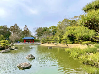 大仙公園日本庭園のクチコミ写真4