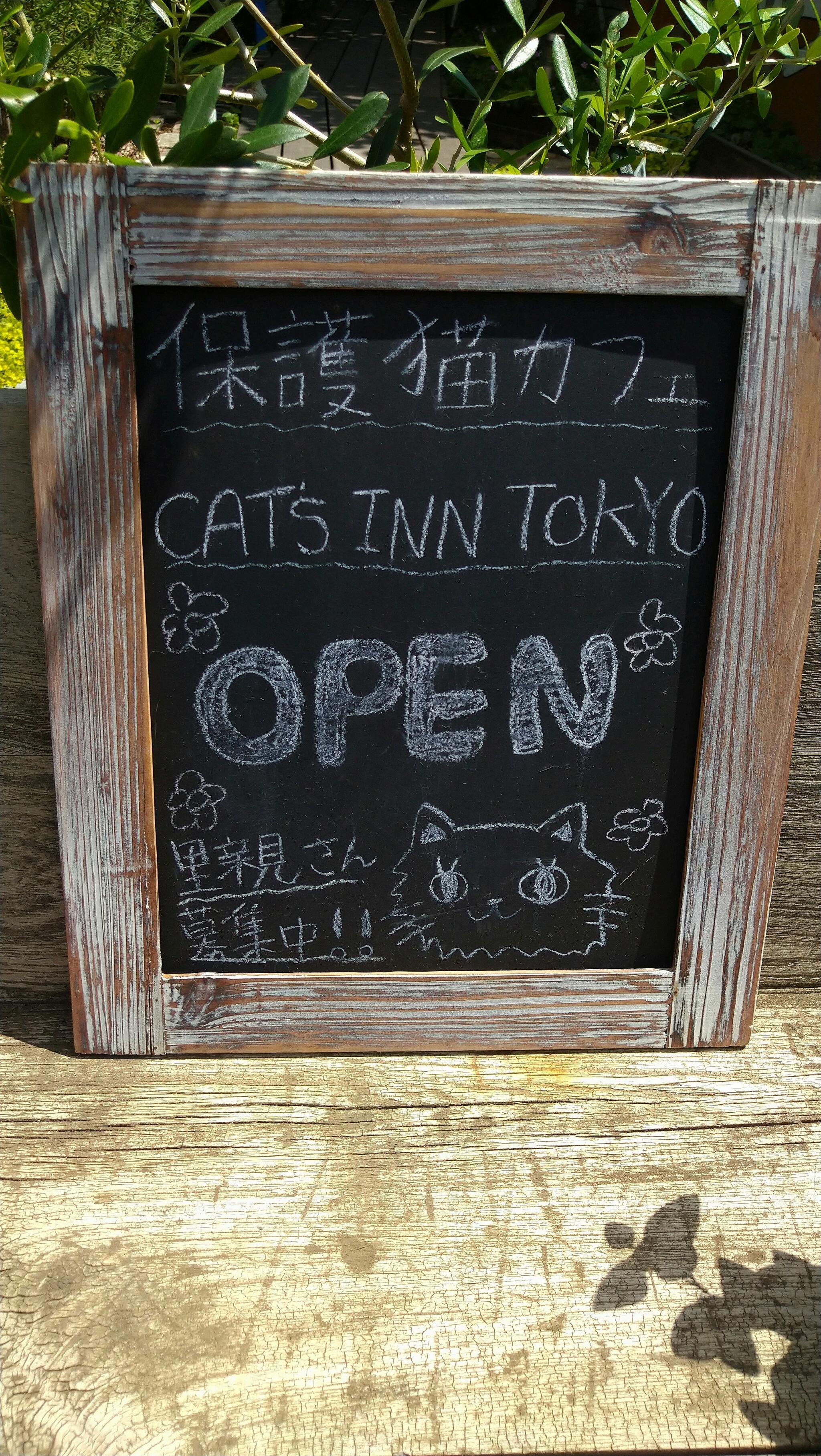 里親募集型保護猫カフェ CAT'S INN TOKYOの代表写真5