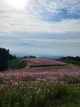 白木峰高原のクチコミ写真1