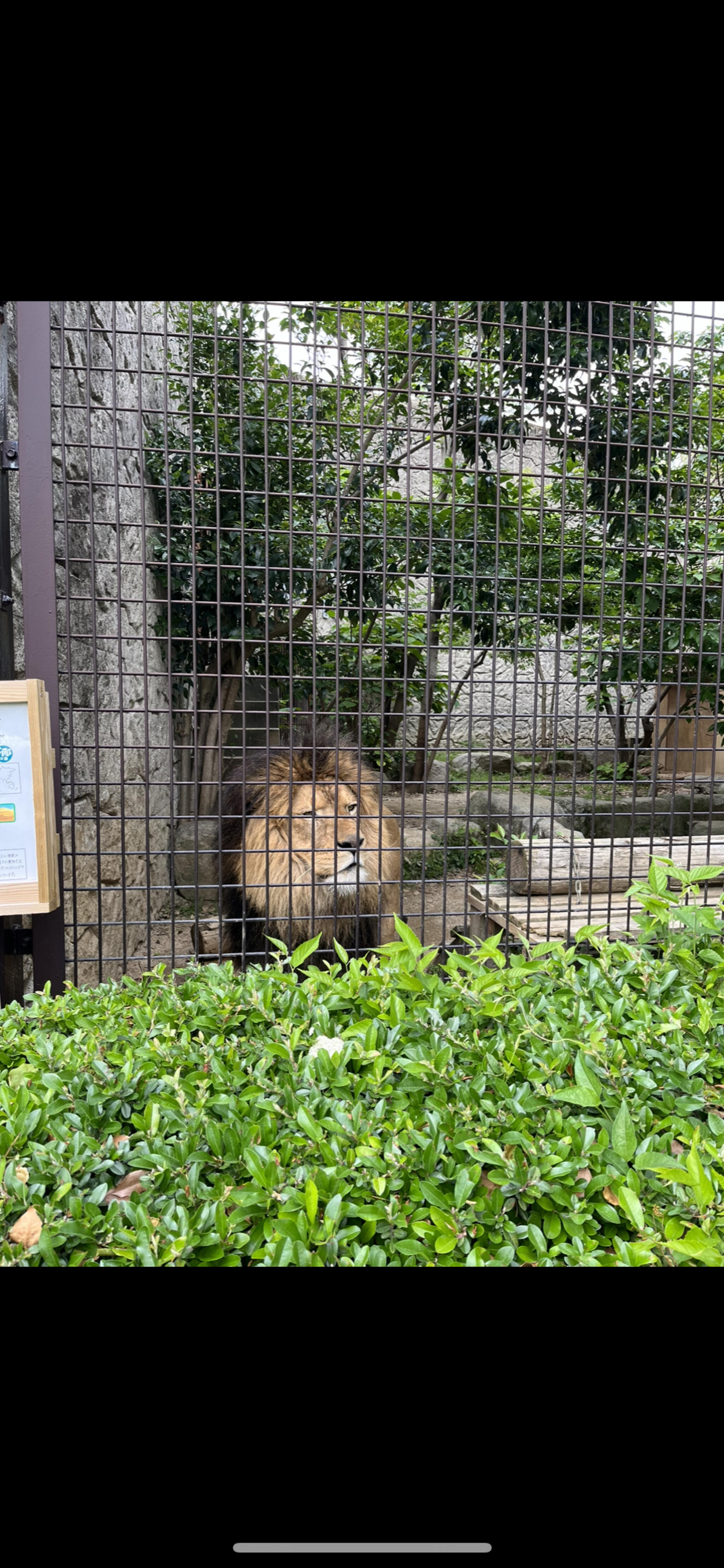 大牟田市動物園の代表写真2