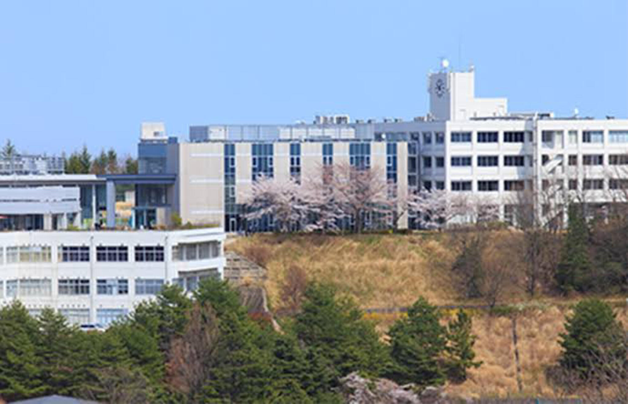東北工業大学 八木山キャンパスの代表写真4