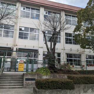 亀岡市立詳徳小学校の写真1