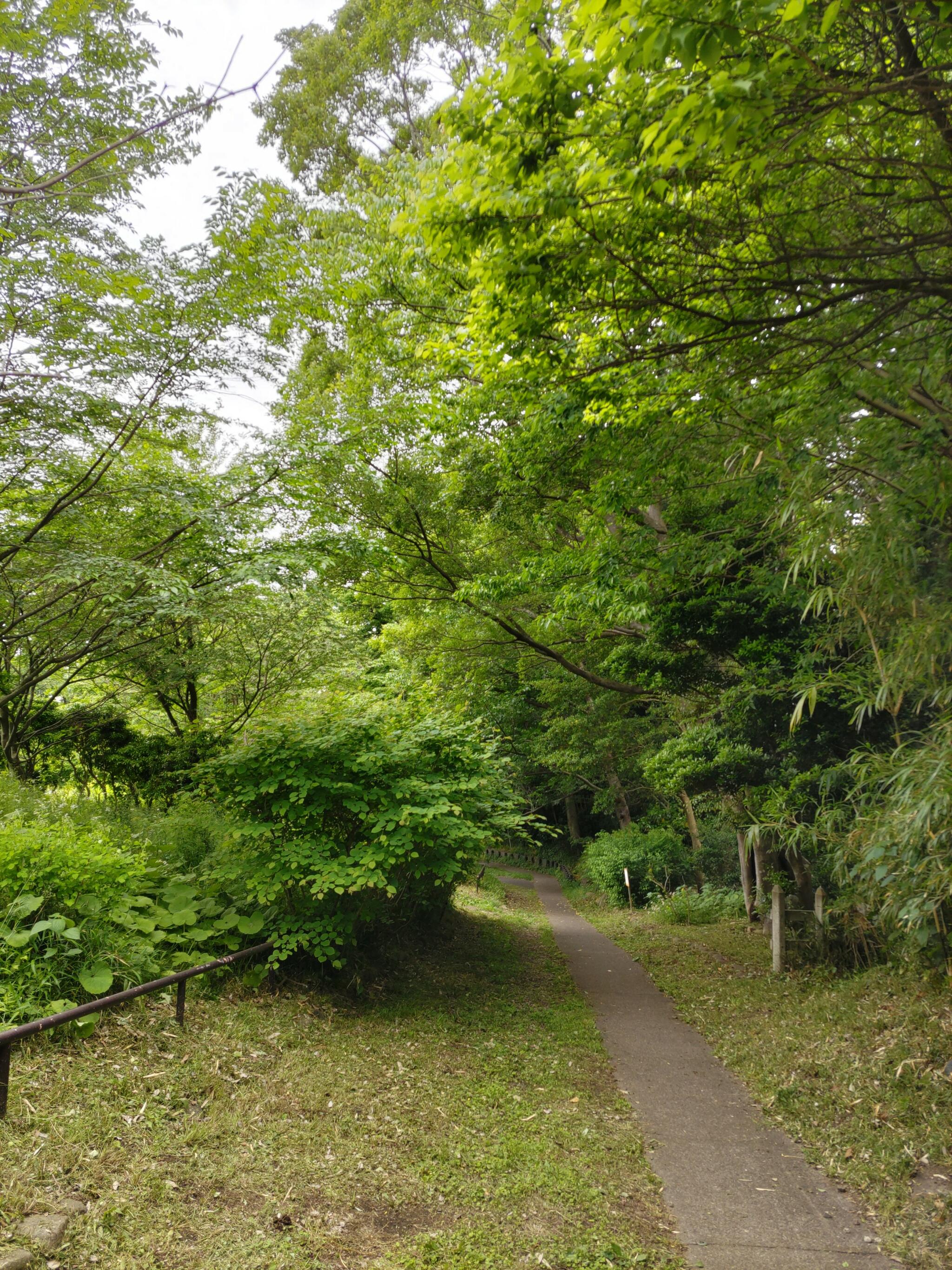 天王森泉公園の代表写真4