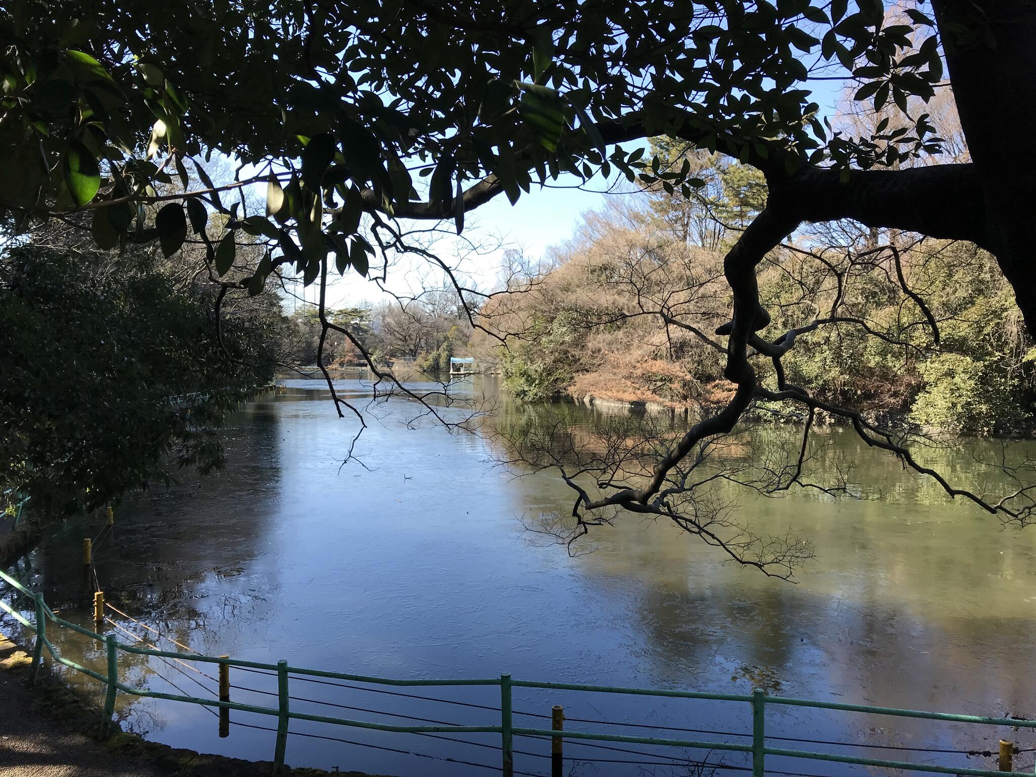 武蔵関公園の代表写真4