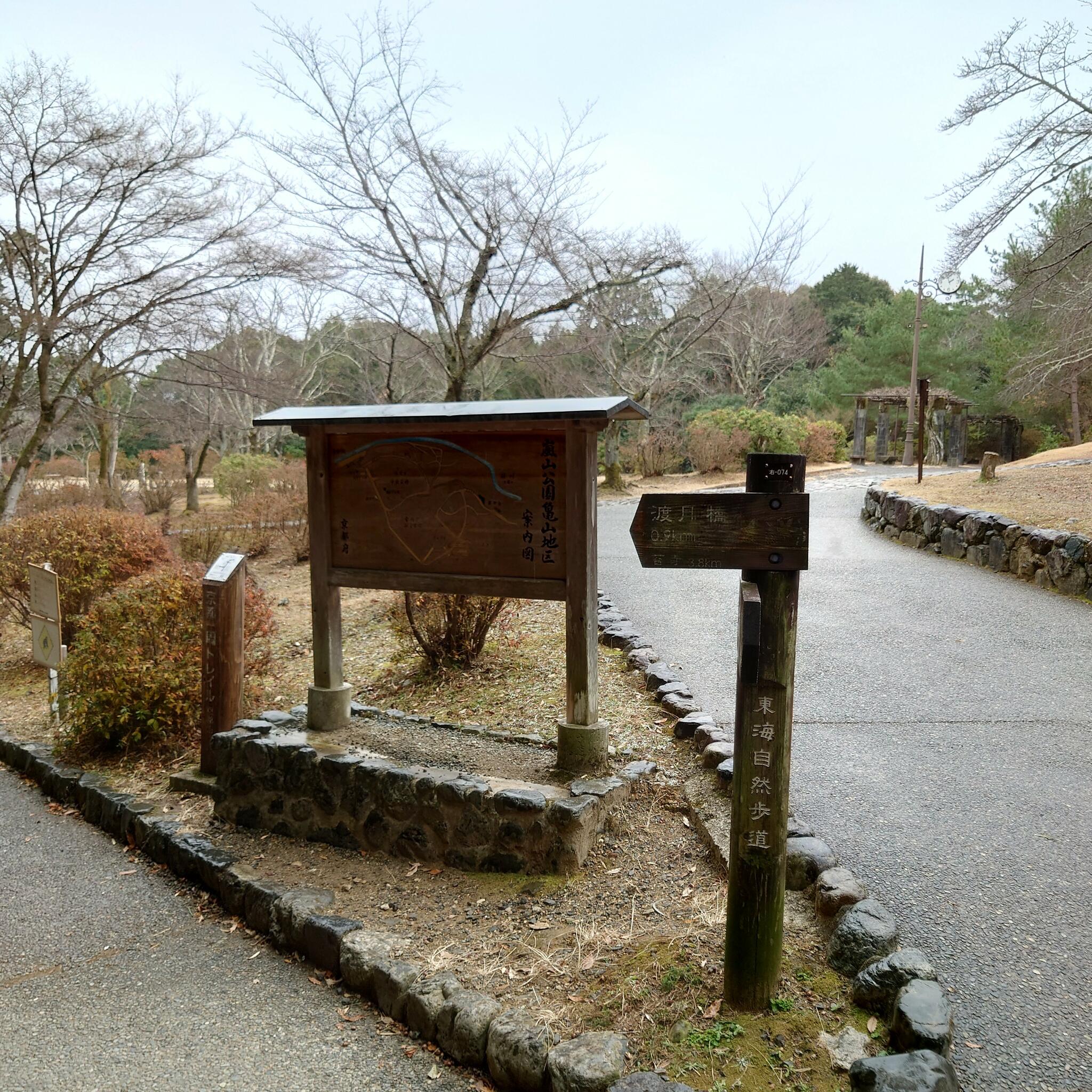 嵐山公園 亀山地区の代表写真9
