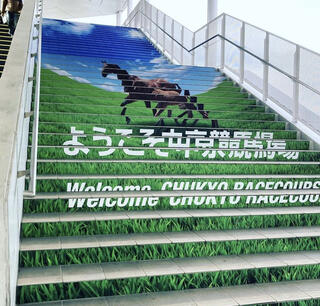 JRA 中京競馬場のクチコミ写真1