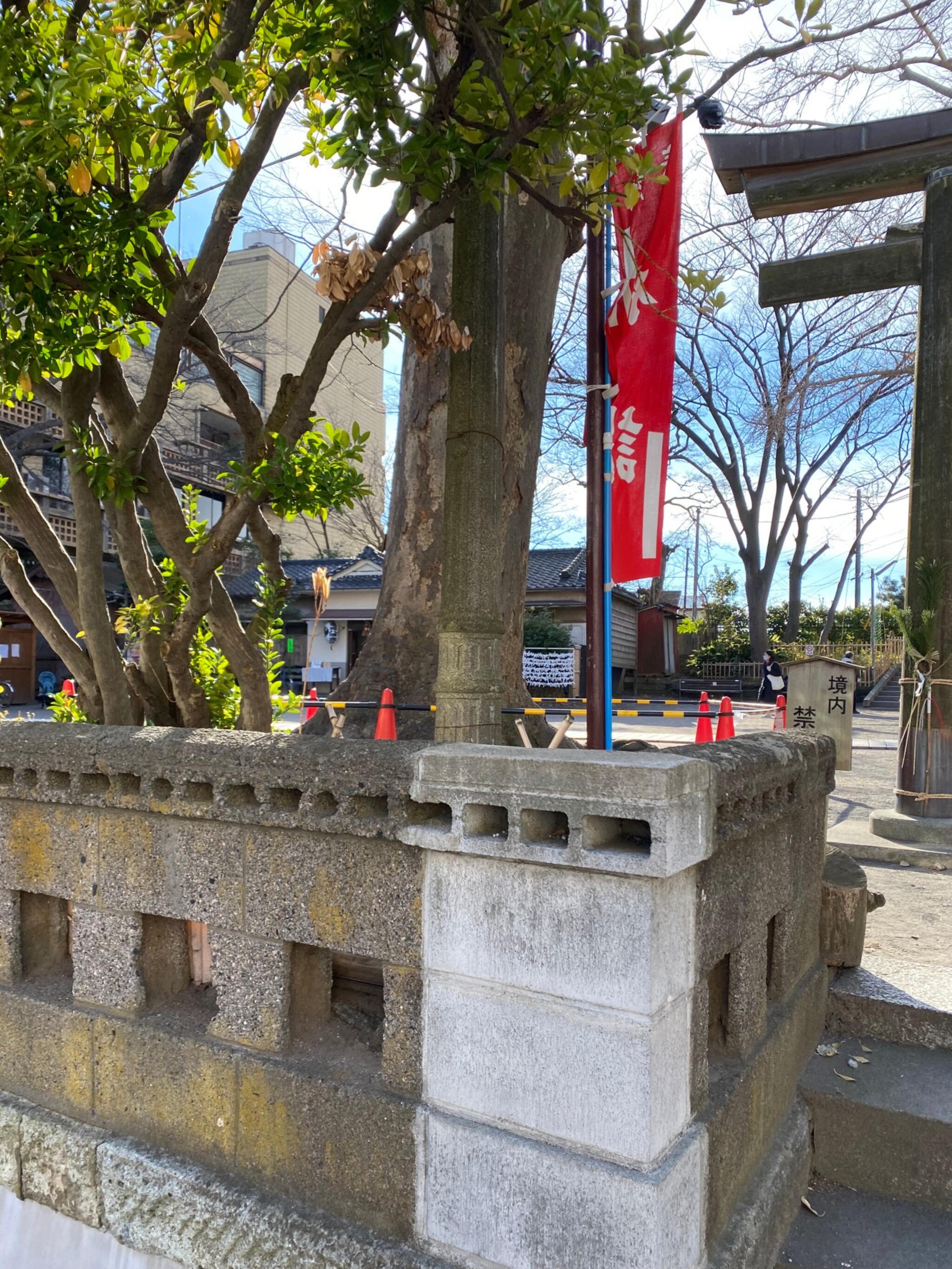 亀岡八幡宮の代表写真9