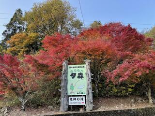 夕森キャンプ場・夕森公園総合案内所 YOU遊館のクチコミ写真1