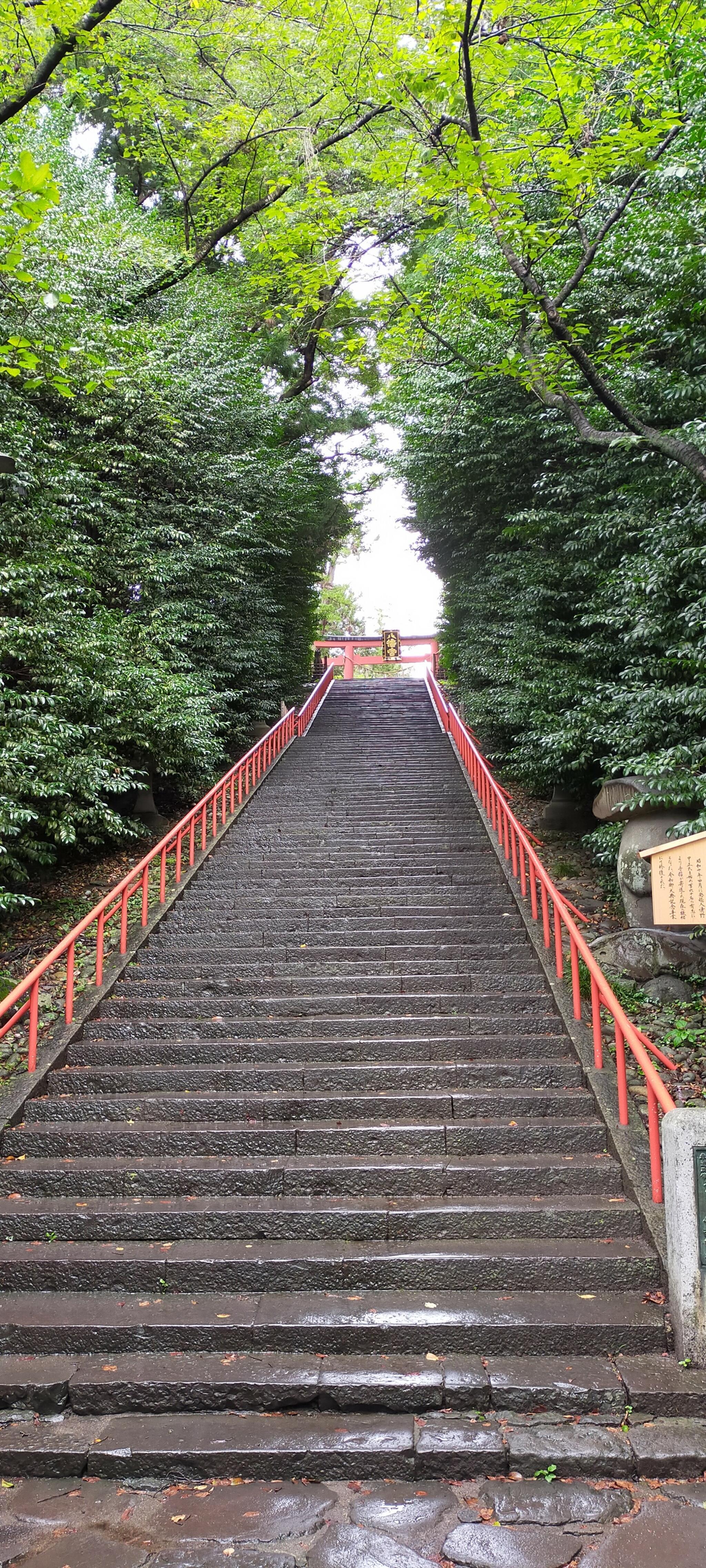 大崎八幡宮の代表写真4