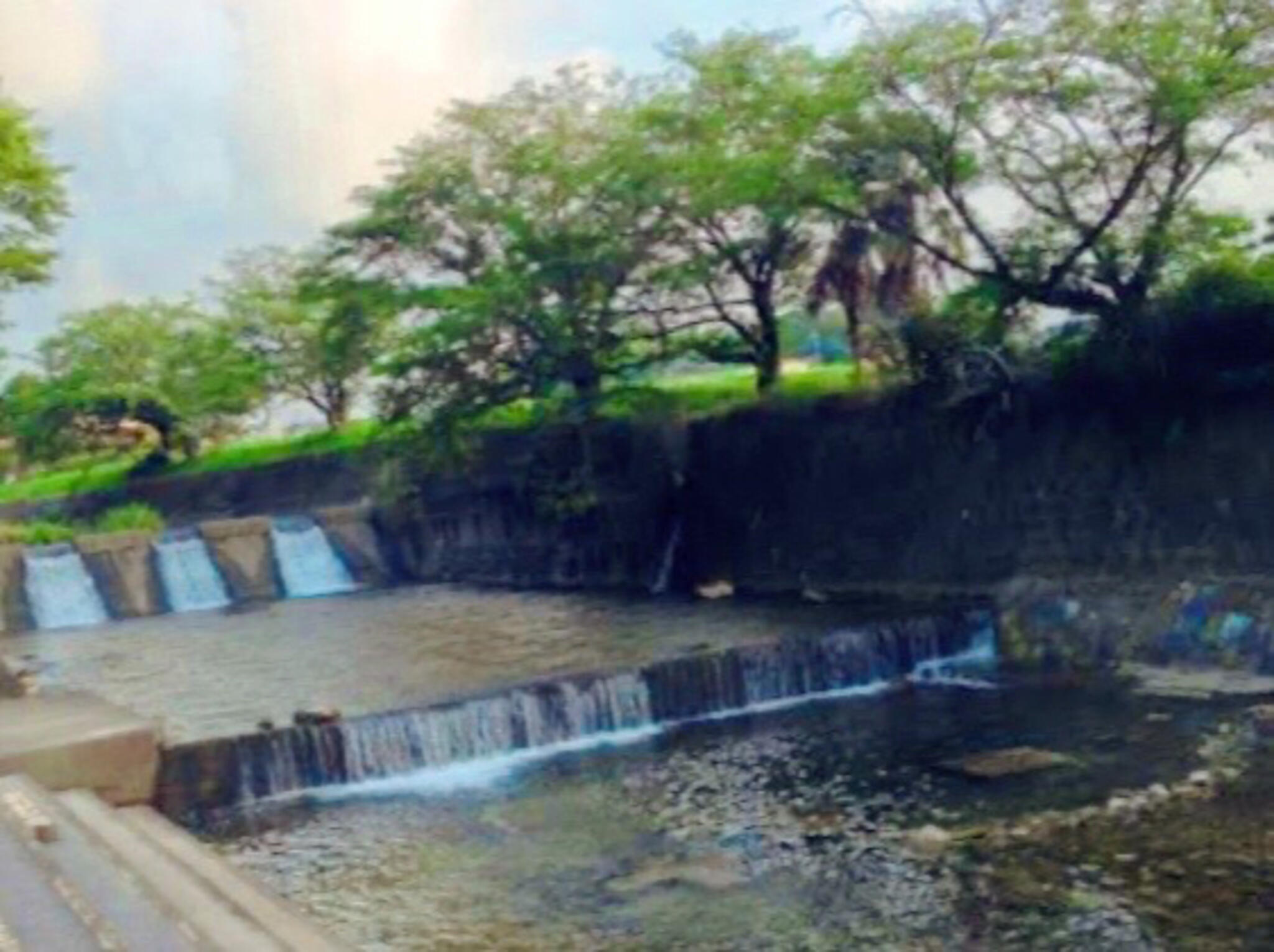 仲島水辺公園の代表写真3