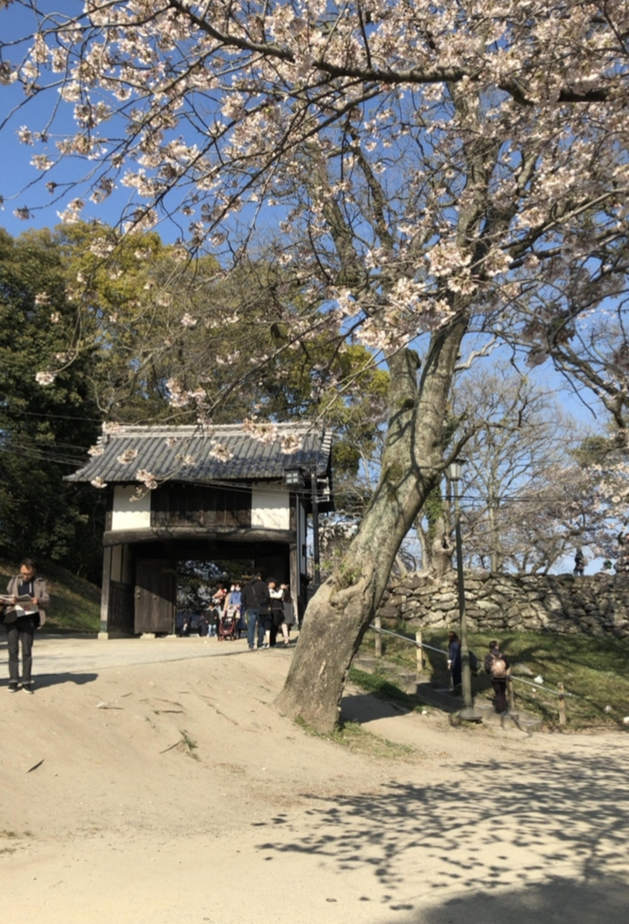 福岡市立 野球・ソフトボール場舞鶴公園野球場の代表写真1