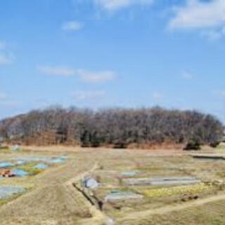 天神山古墳の写真5