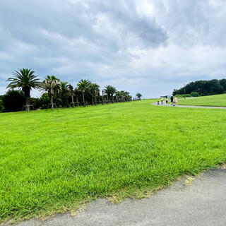 県立幕張海浜公園の写真11