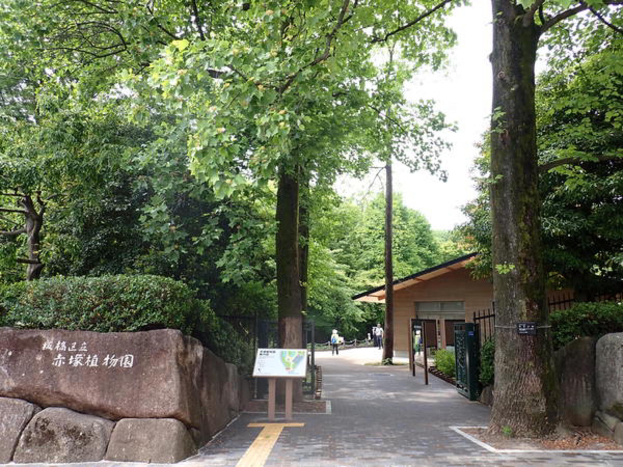 赤塚植物園の代表写真3