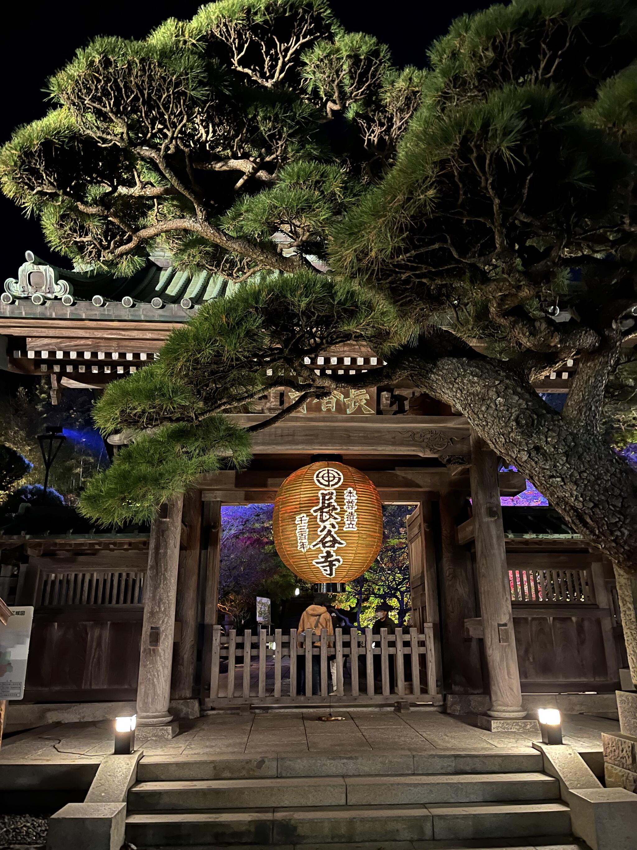 鎌倉 長谷寺の代表写真6