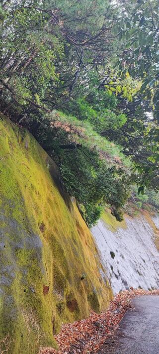 石盛山のクチコミ写真1