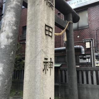 櫻田神社の写真3