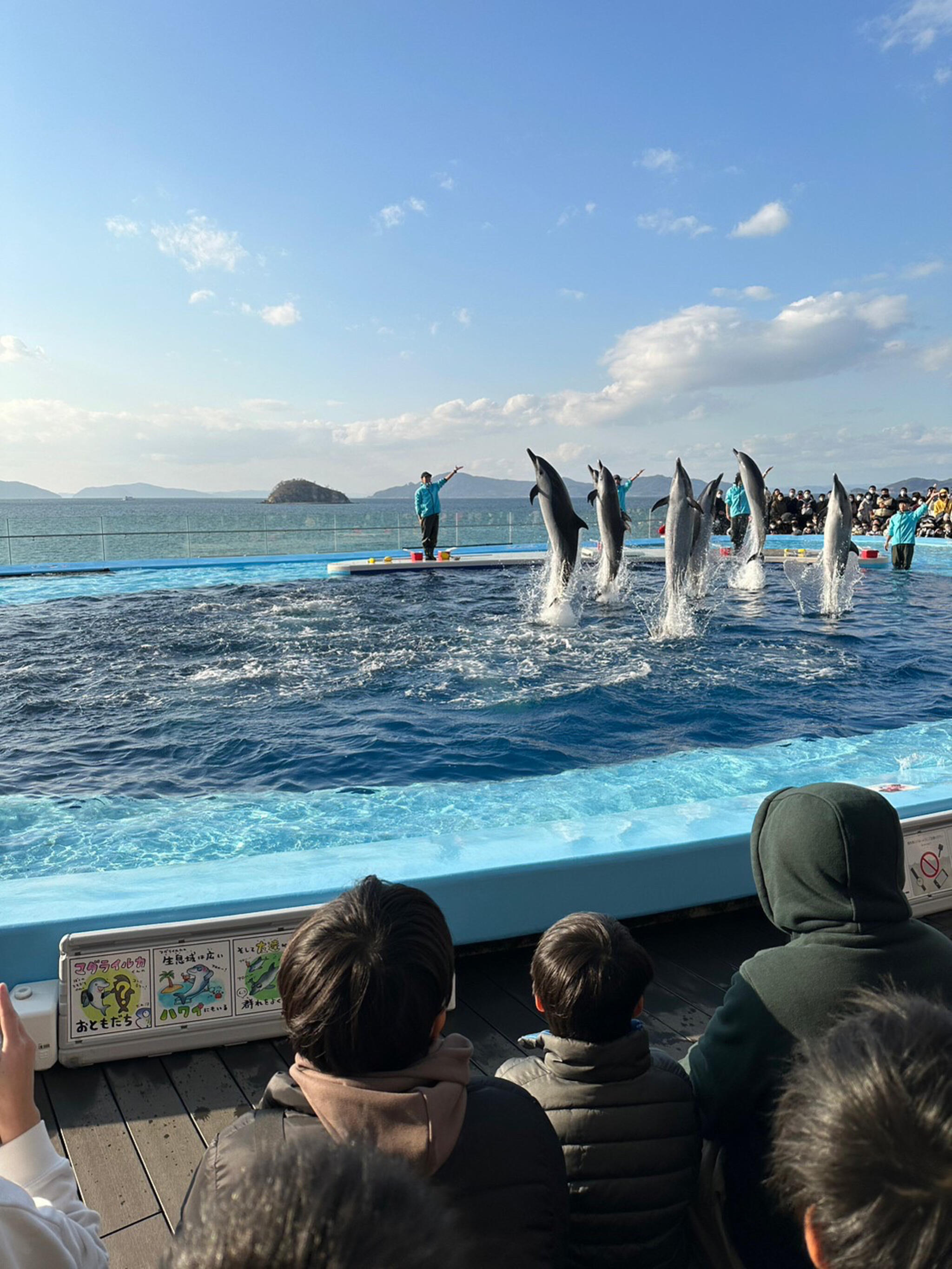 上真島の代表写真1