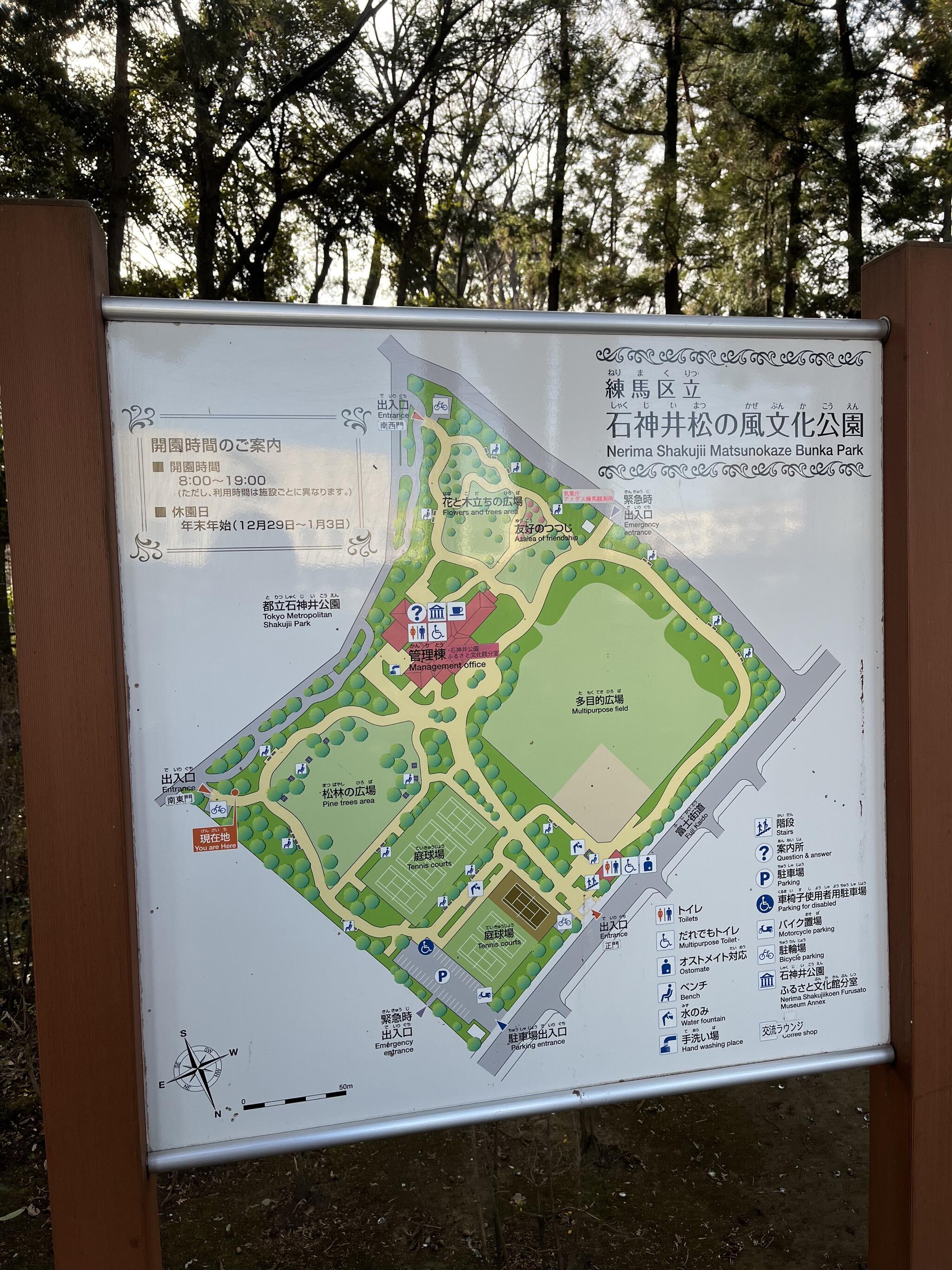 練馬区立石神井松の風文化公園庭球場の代表写真8