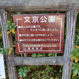 文京公園(新潟市中央区)の写真3