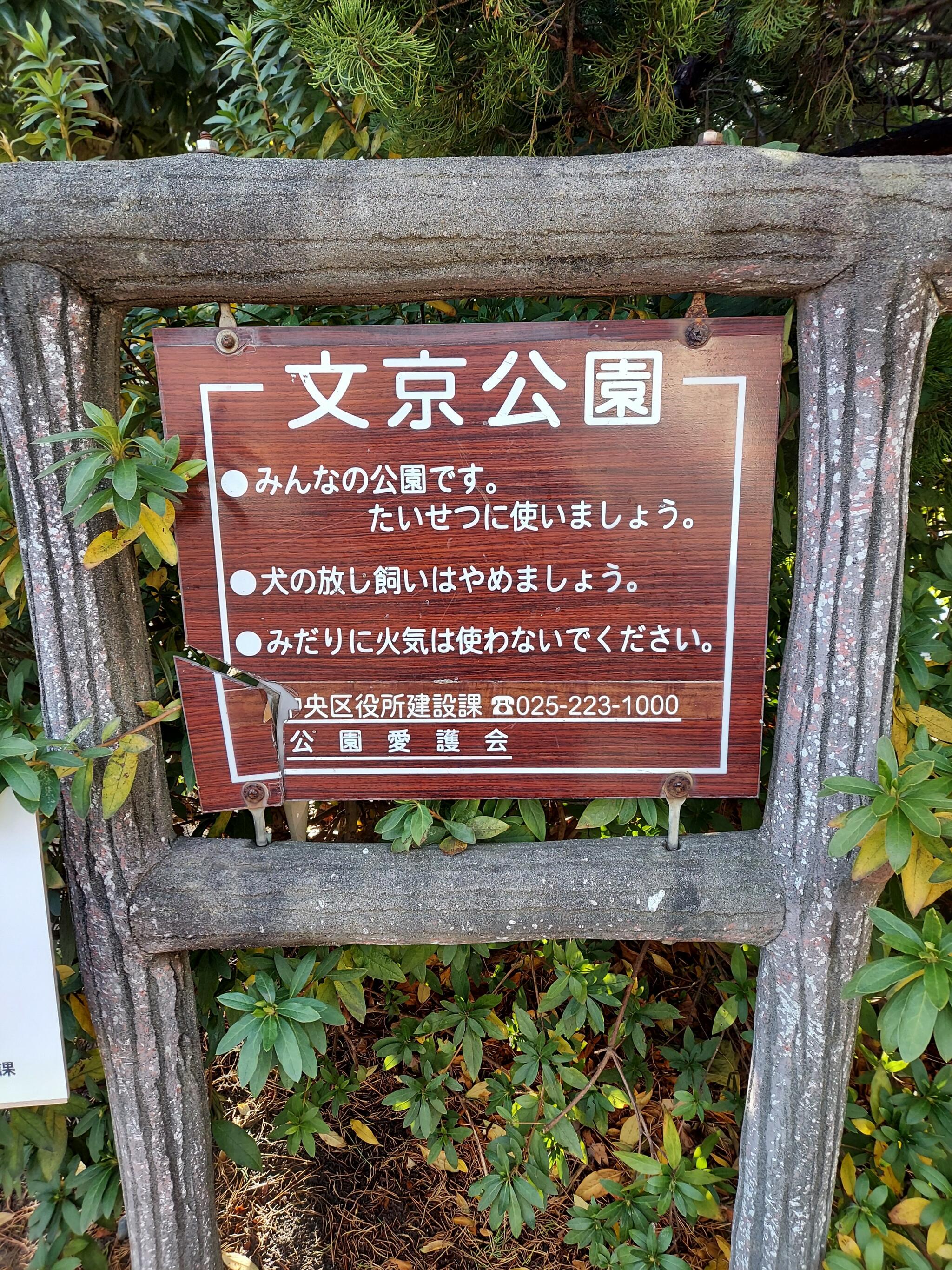 文京公園(新潟市中央区)の代表写真3