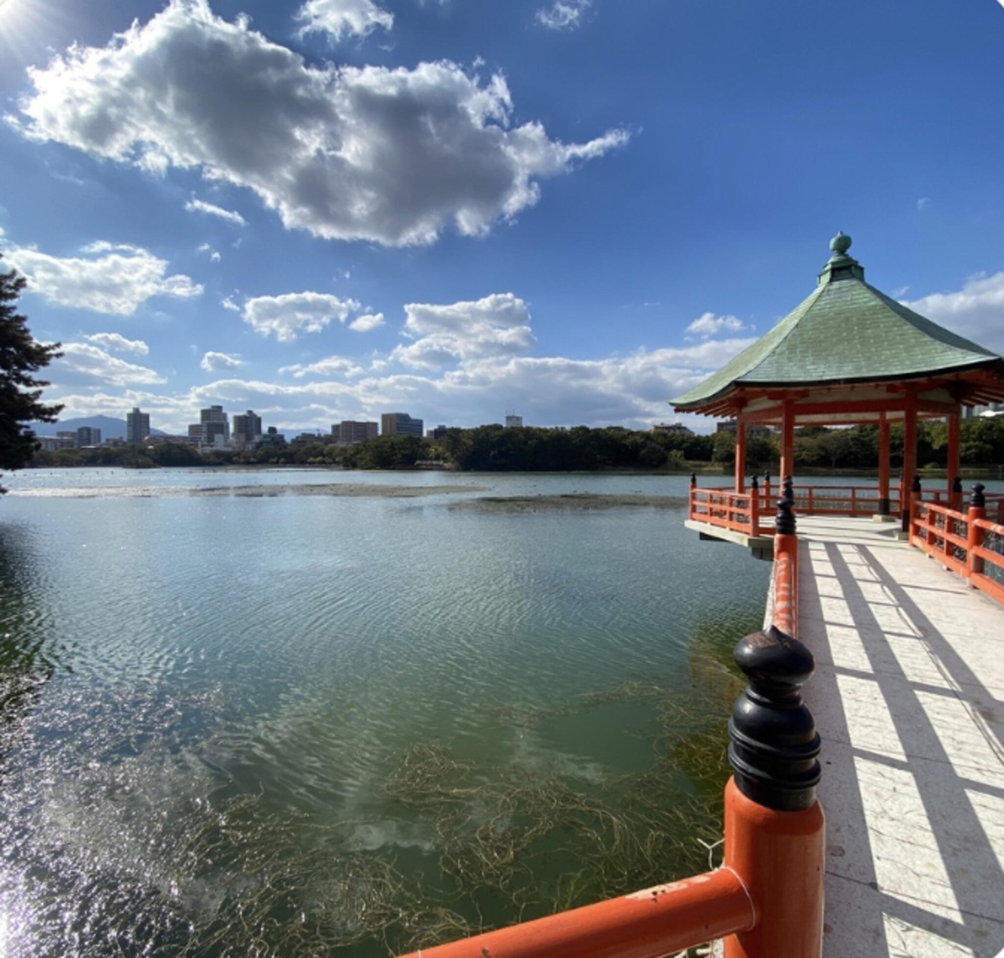 大濠公園の代表写真6