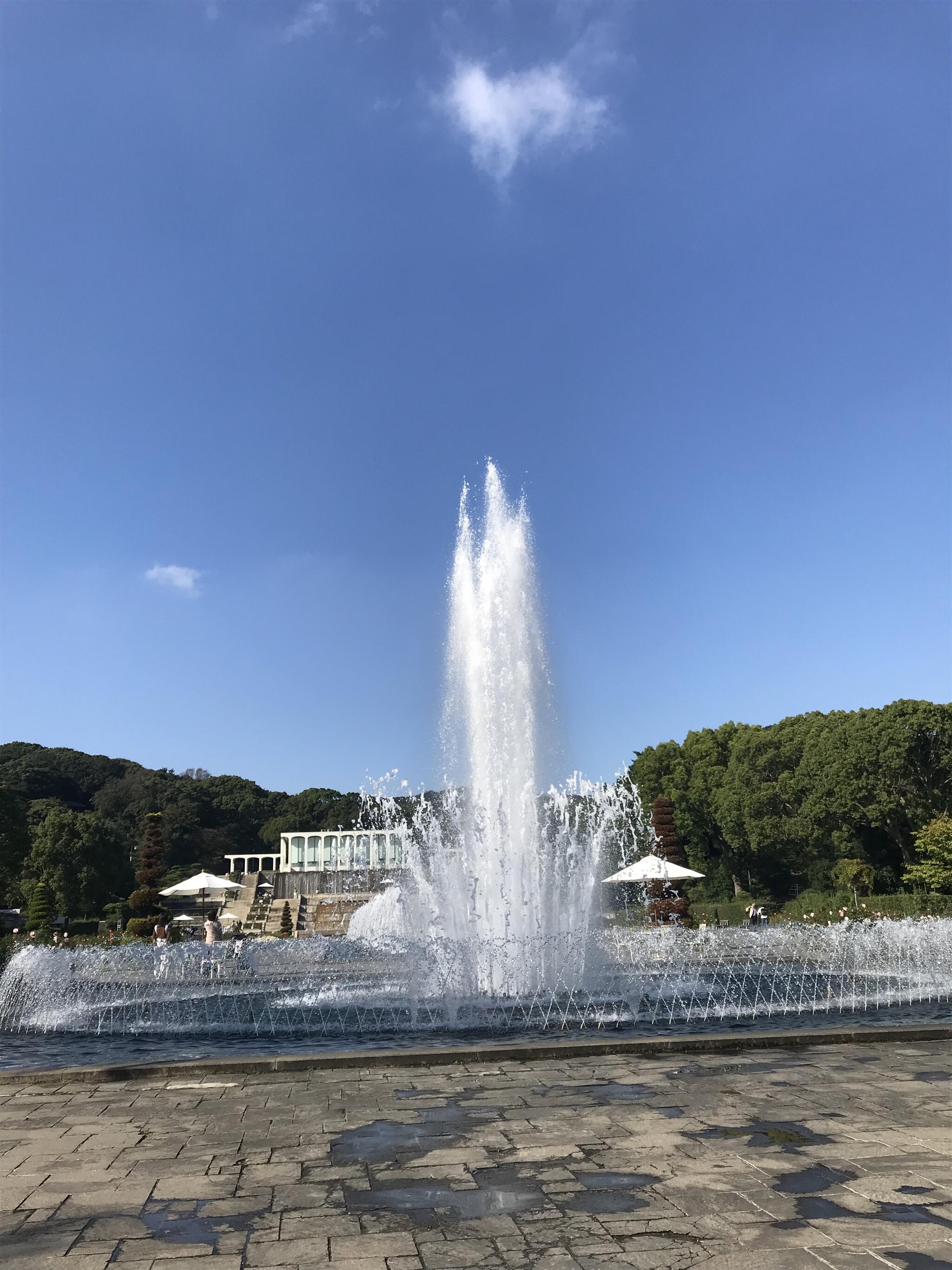 神戸市立須磨離宮公園の代表写真4