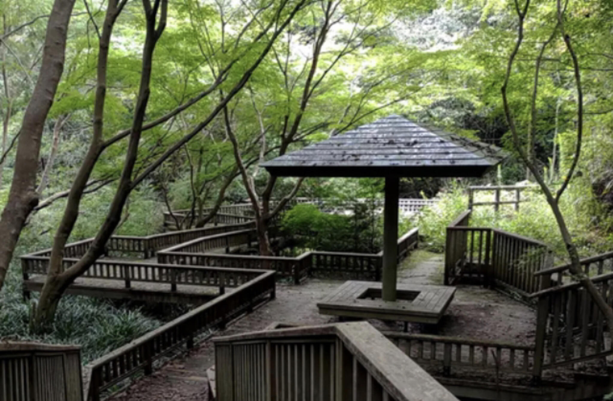 松尾寺公園の代表写真1