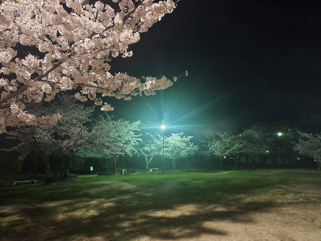 寺本公園 呉市寺本町/公園 Yahoo!マップ