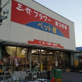 三好 フラワー センター 三貴 ペット 館 販売