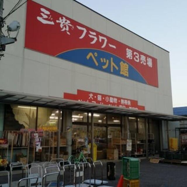 三貴フラワーセンター ペット館 みよし市三好町/ペットショップ Yahoo!マップ