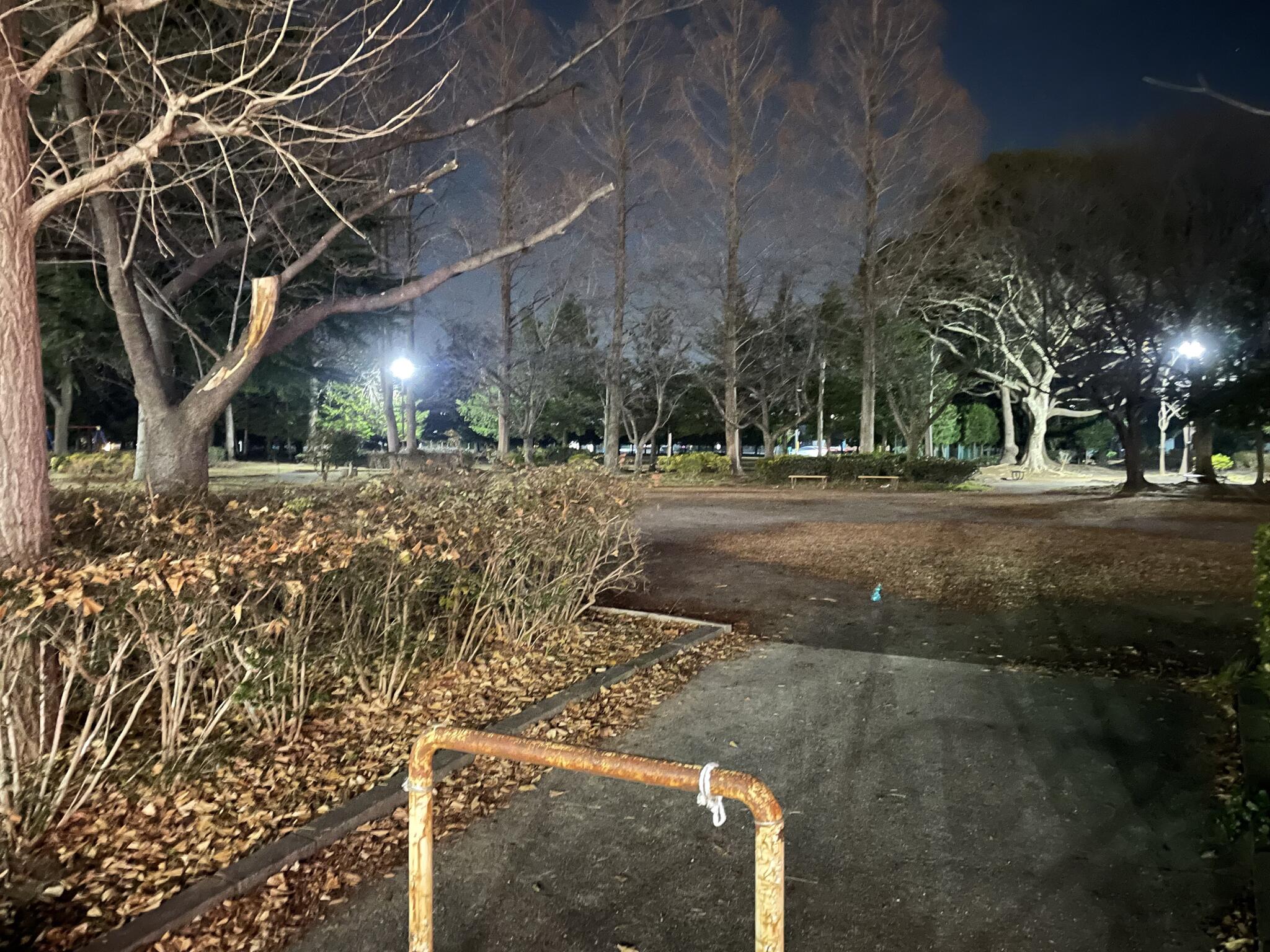 横須賀中央公園の代表写真1