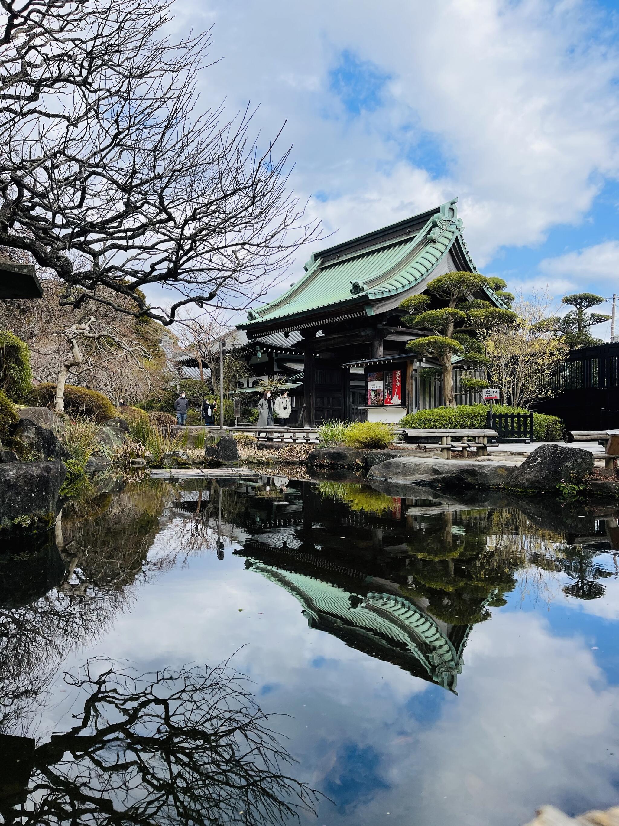 鎌倉 長谷寺の代表写真1