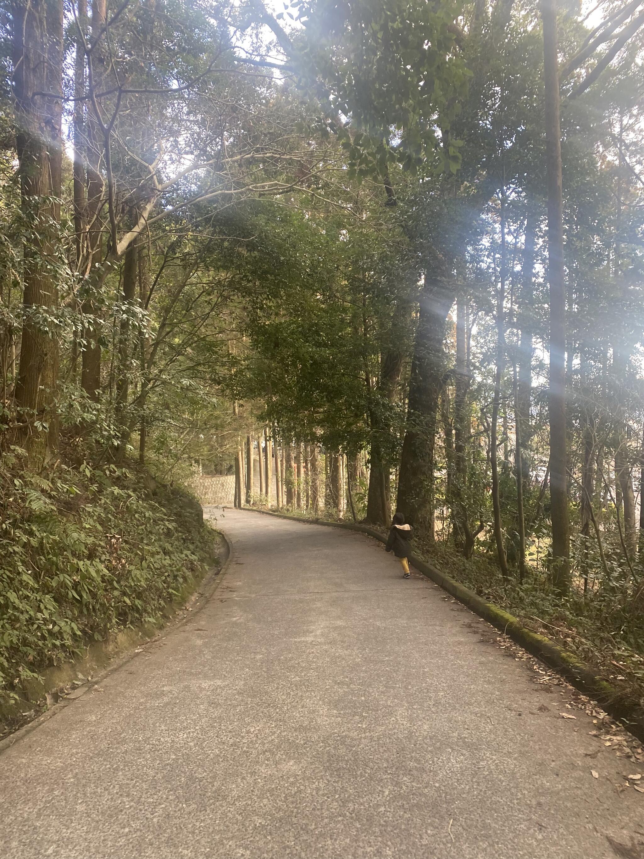 鹿児島神宮の代表写真2