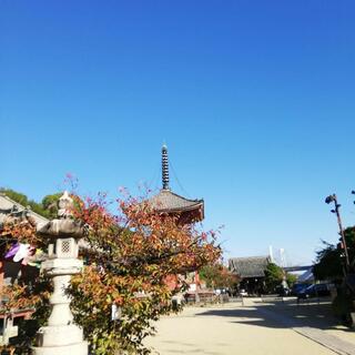 浄土寺の写真24